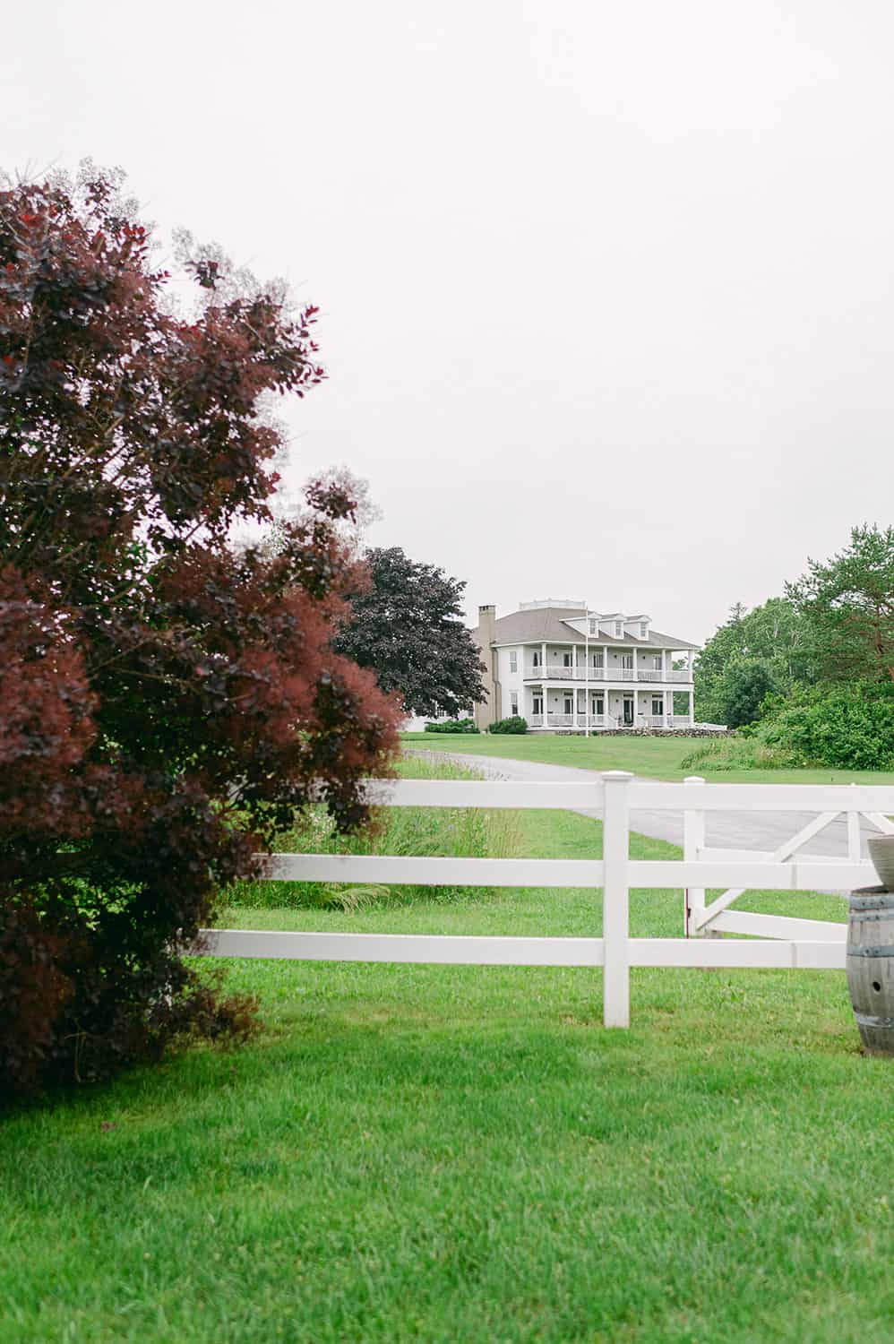 A white mansion at Ash Point Estate, viewed across a field with a white fence and a reddish-brown tree in the foreground.