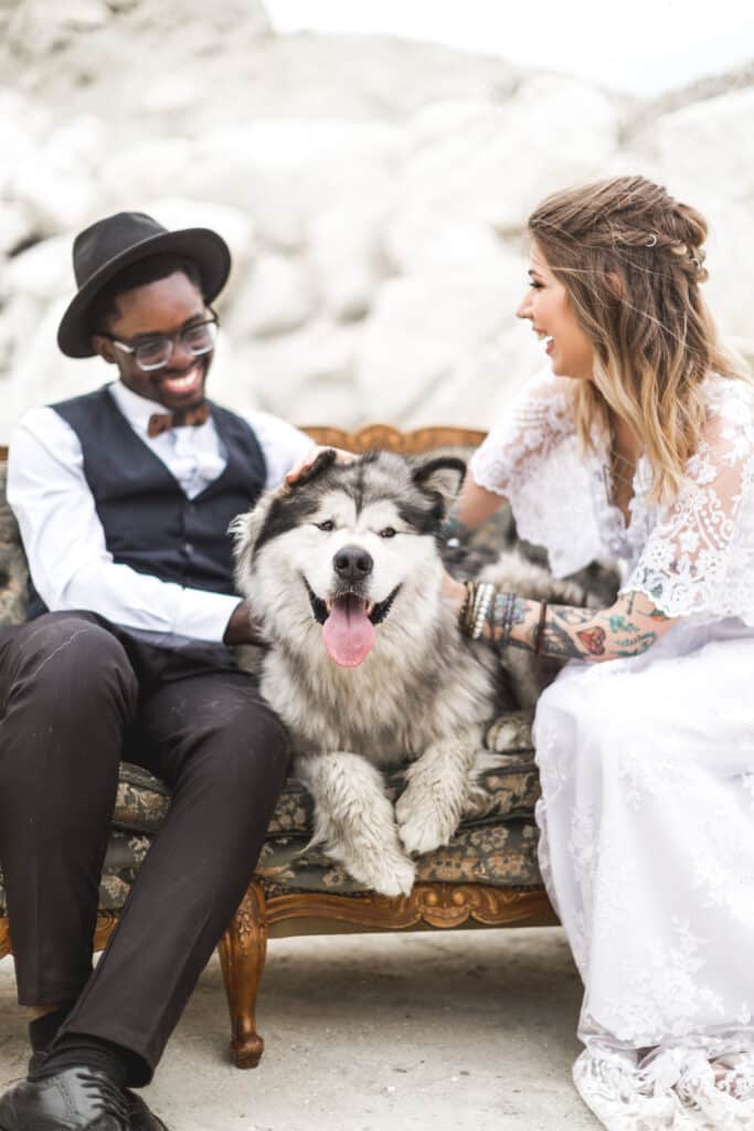 Pet Friendly Wedding Venues In Maine, What Couples Need To Know Before Booking 1 Ash point estate pet friendly wedding venues, best friend animals concept - caucasian woman and african man touch head to head his beautiful tender dog in outdoor desert location place sitting on a retro sofa