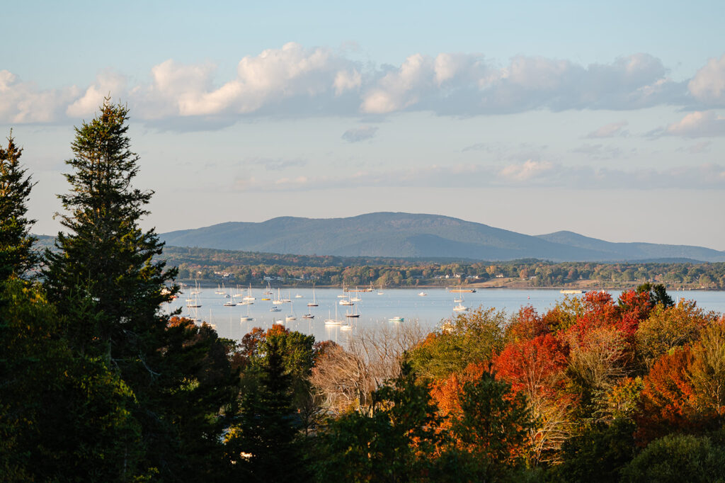 Drone view of ocean, owls head, maine